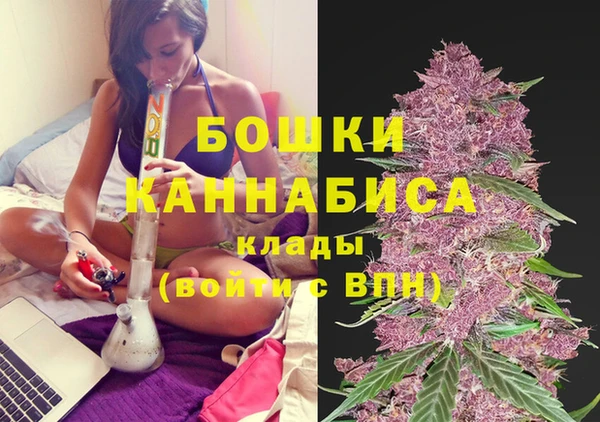 гидропоника Алексеевка