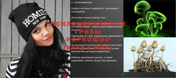 гидропоника Алексеевка